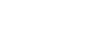 AIA Wordmark PNG white